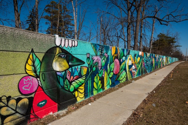 Colourful mural of bird faces