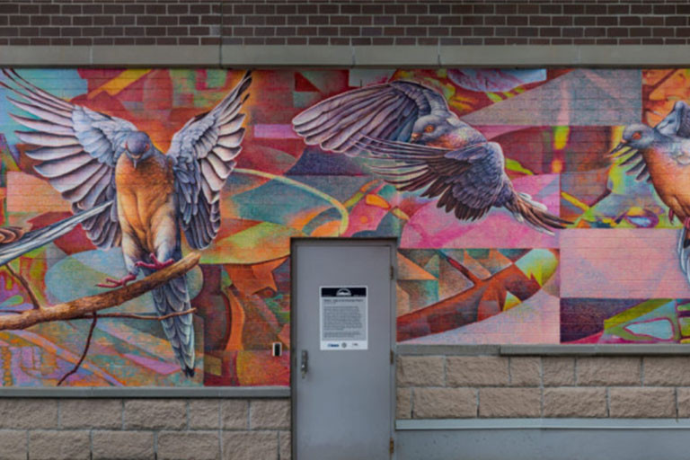 Colourful mural of pigeons