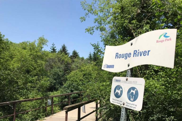 Sign reading Rouge River in front of a trail surrounded by trees